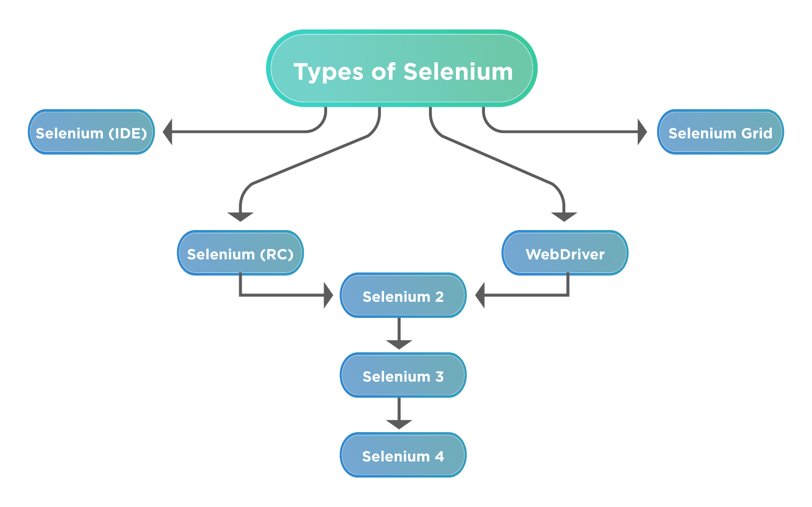 Selenium Testing An Analytical Guide 8012